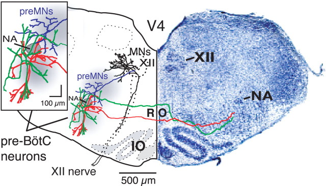 Figure 6.