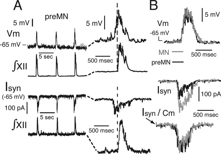 Figure 10.