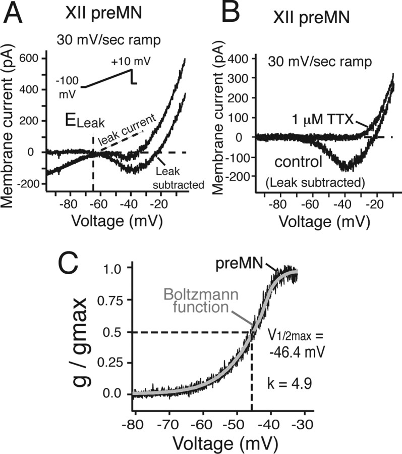 Figure 12.