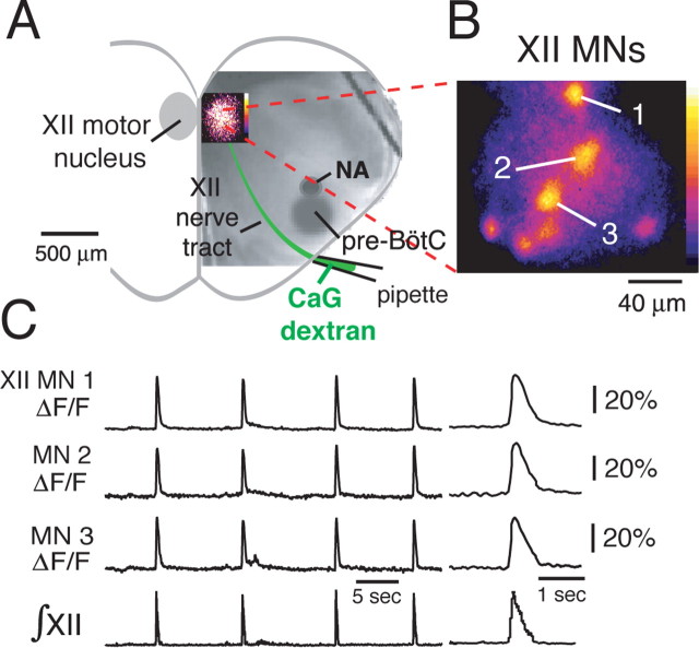 Figure 3.