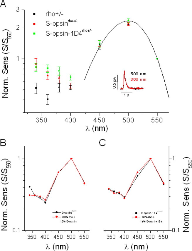 Figure 5.