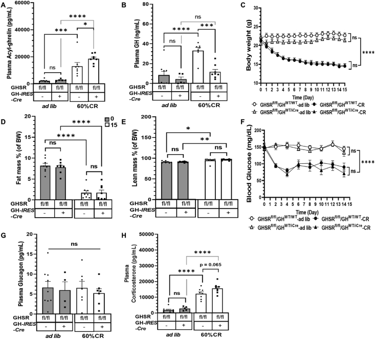 Figure 6