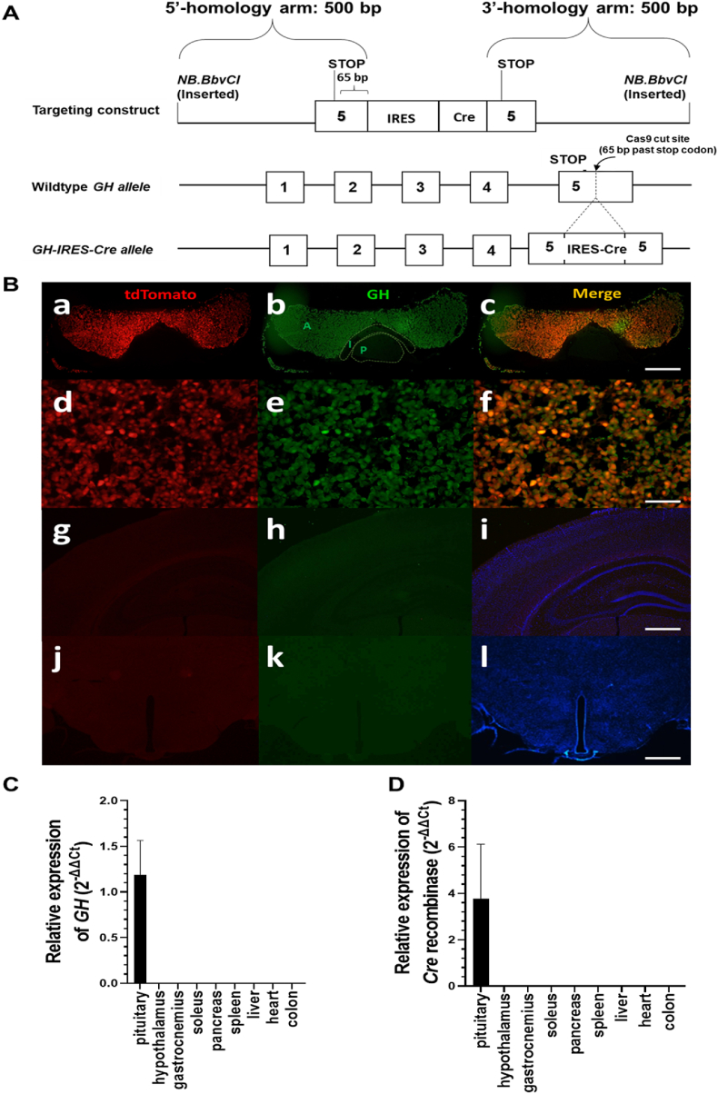 Figure 1