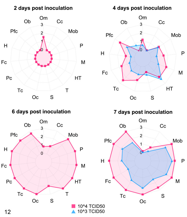 Figure 12.