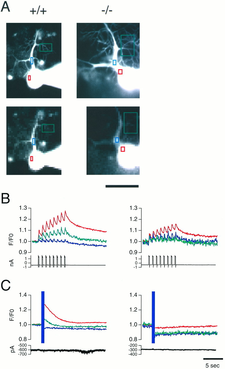 Fig. 2.