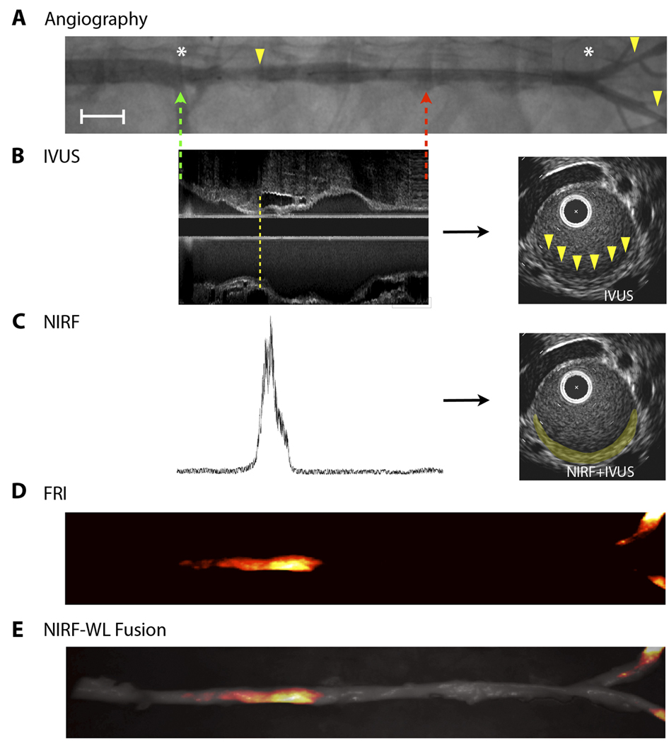 Fig. 6