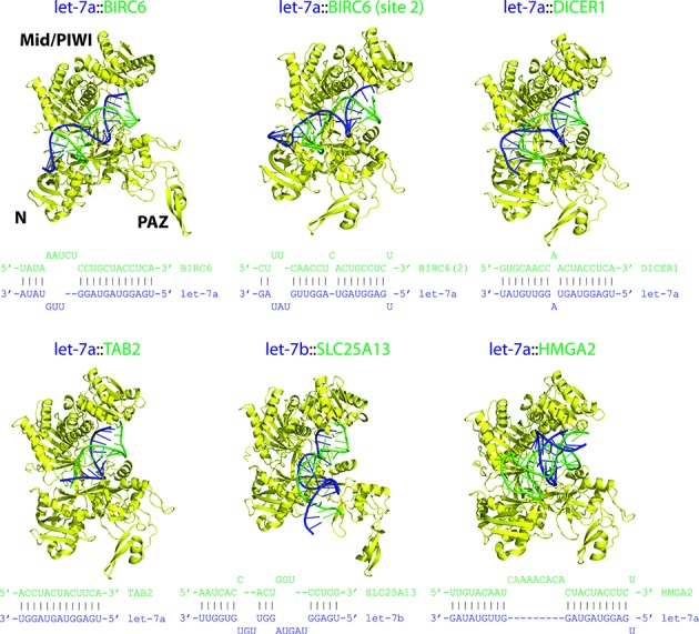 Figure 4.