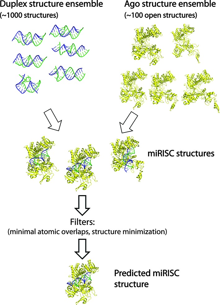 Figure 1.