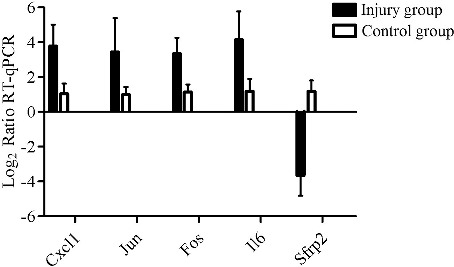 Figure 5.