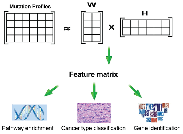 graphic file with name nihms-1533851-f0001.jpg