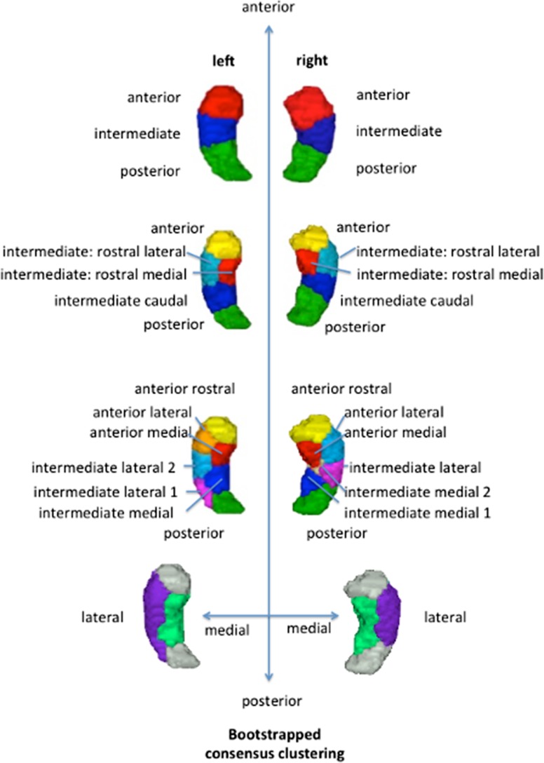 Figure 4.