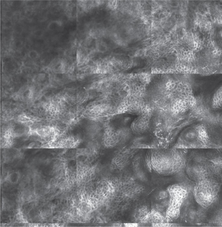Figure 3 C: