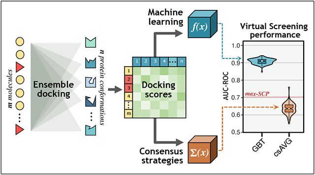 graphic file with name nihms-1777841-f0001.jpg