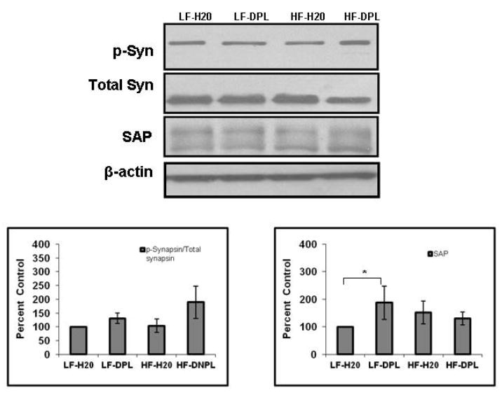 Fig.9