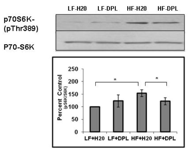 Fig.7