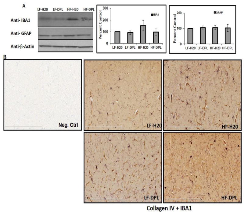 Fig.4