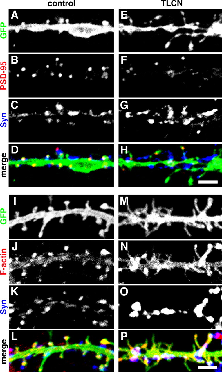 Figure 6.