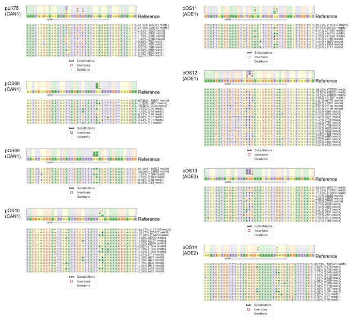 Figure 1—figure supplement 2.