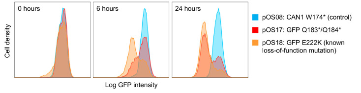 Figure 1—figure supplement 3.