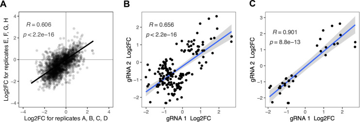 Figure 3—figure supplement 1.