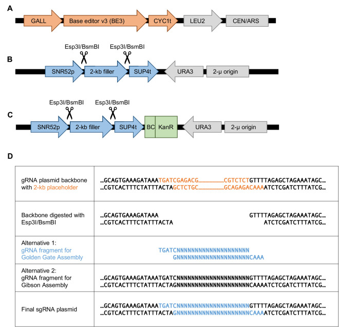 Figure 1—figure supplement 1.