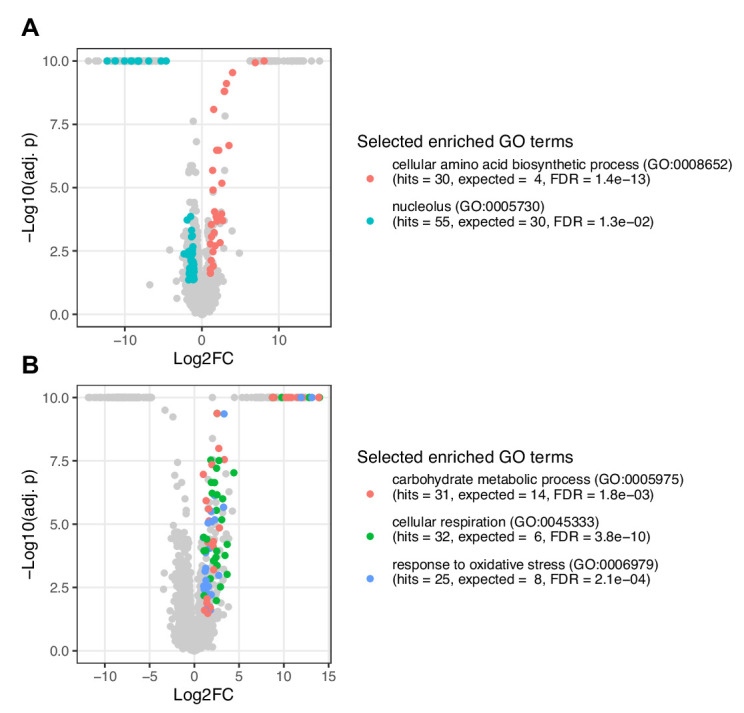 Figure 5—figure supplement 1.