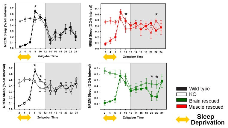 Figure 2—figure supplement 1.