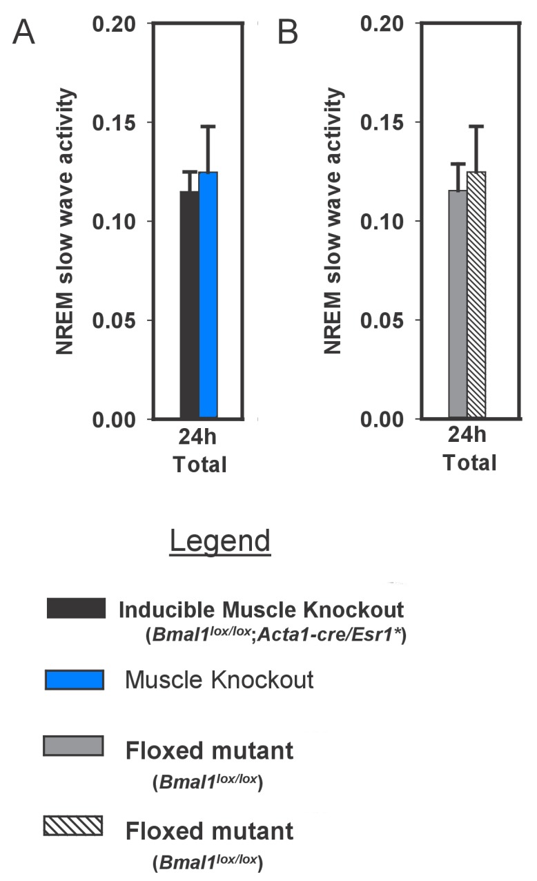 Figure 3—figure supplement 1.