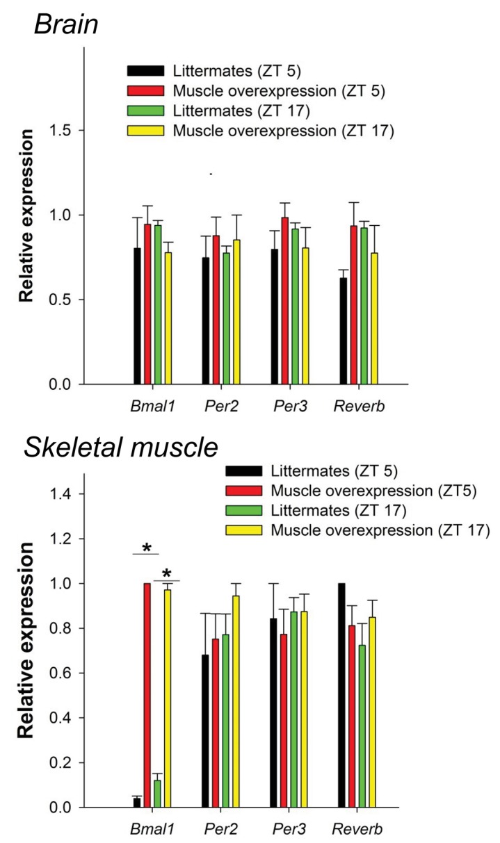 Figure 4—figure supplement 3.