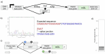 Extended Data Fig. 7