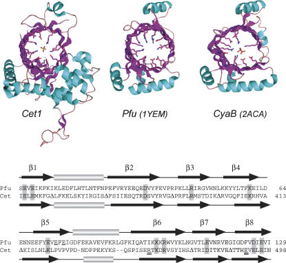 FIGURE 1.