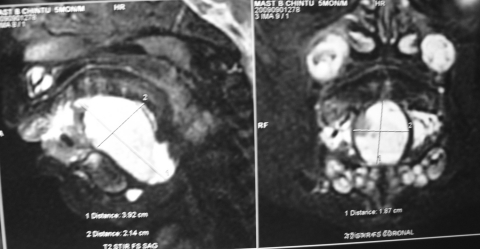 Fig. 2