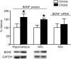 Figure 11.