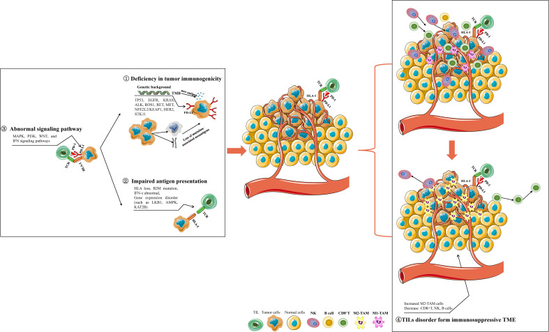 Figure 4