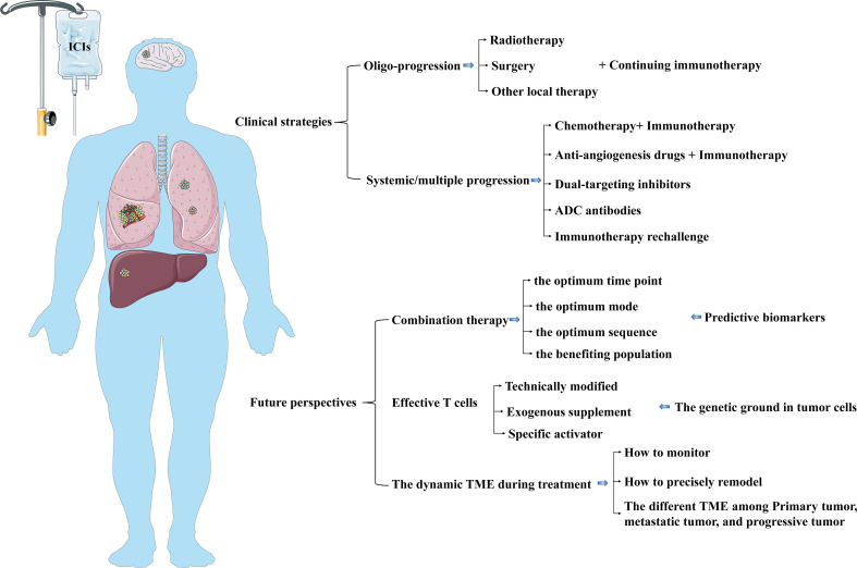 Figure 5