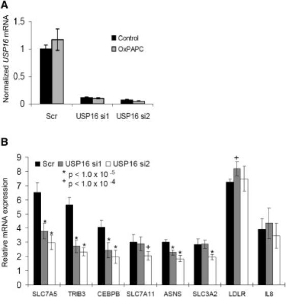 Figure 5