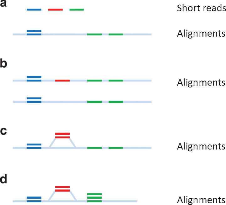 FIG. 1.