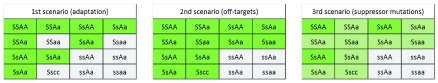 Supplementary Figure 1. 