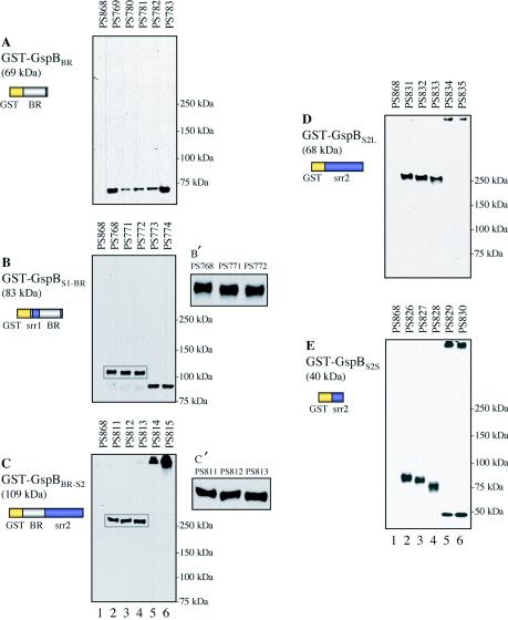 FIG. 4.