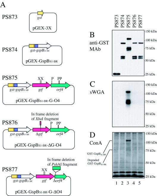 FIG. 6.