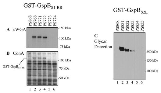 FIG. 5.