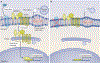 Fig. 3 |