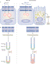 Fig. 4 |