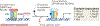 Fig. 1 |