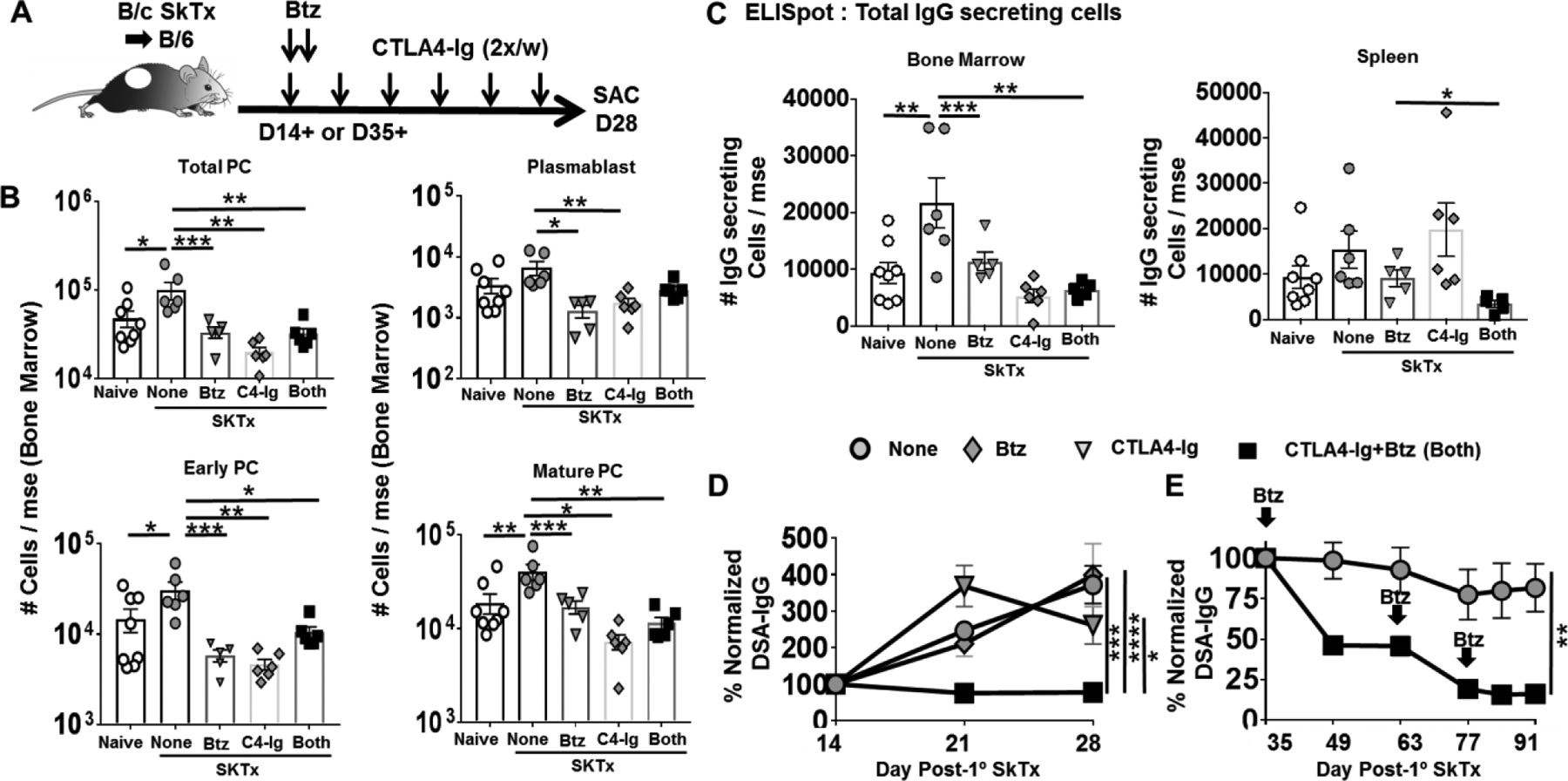 Figure-3: