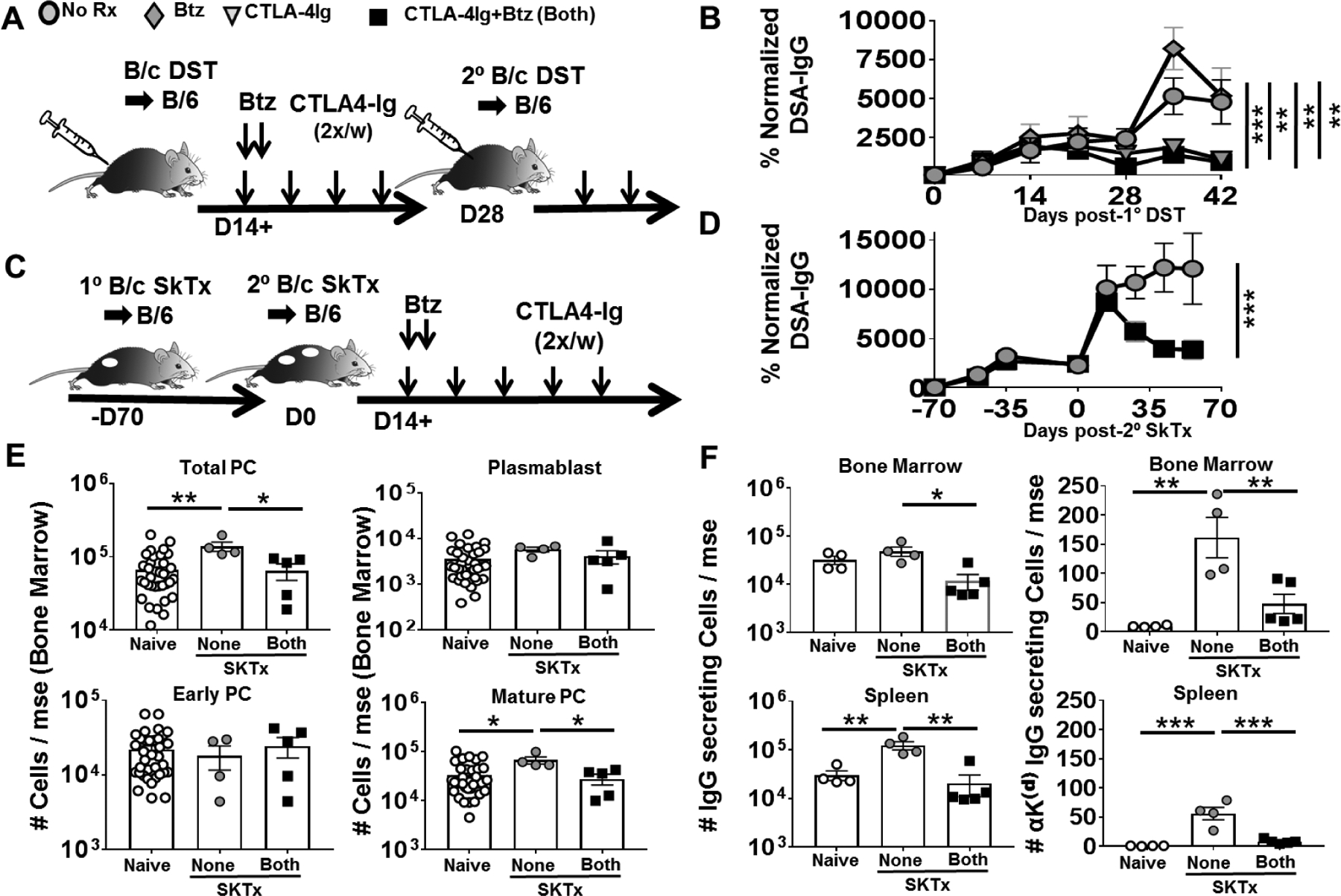 Figure-4: