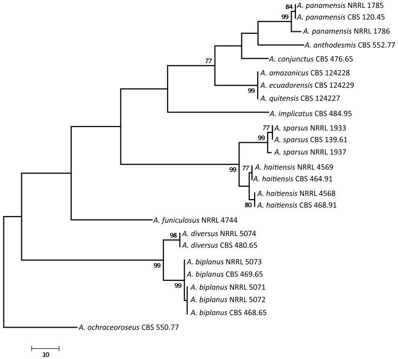 Fig. 2.