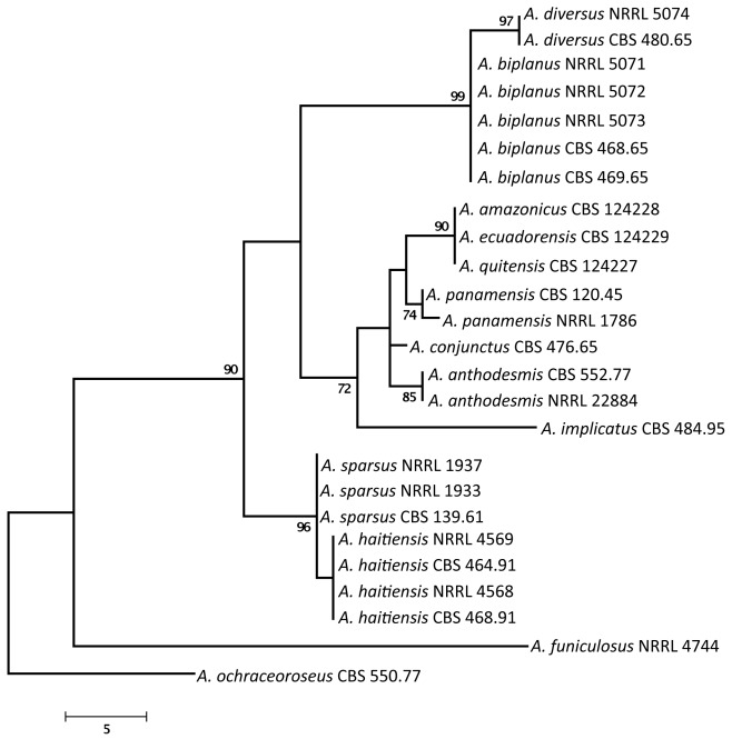 Fig. 3.