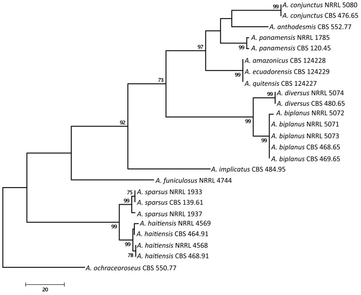 Fig. 1.