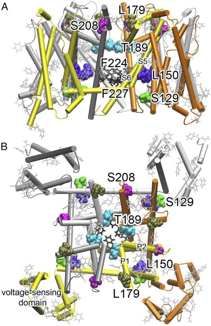 Fig. 2.